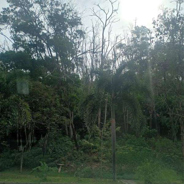Auction: Unit No., Jalan Ceria 8, Taman Nusa Indah, 79100 Iskandar Puteri, Johor